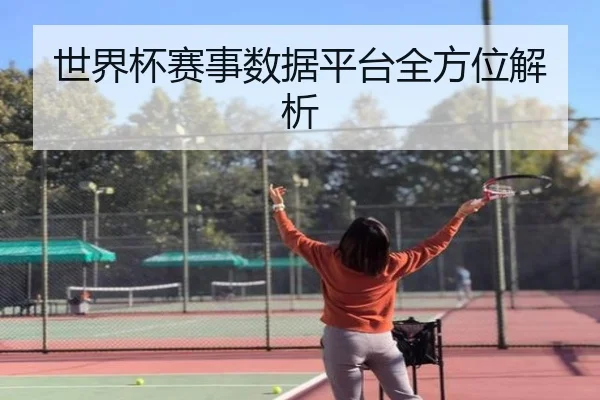 世界杯赛事数据平台全方位解析