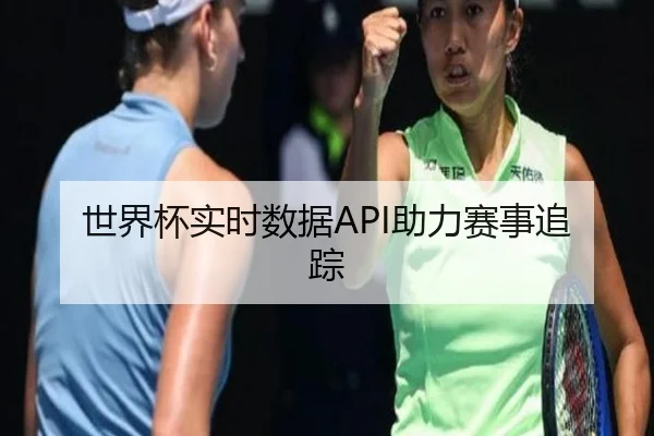 世界杯实时数据API助力赛事追踪