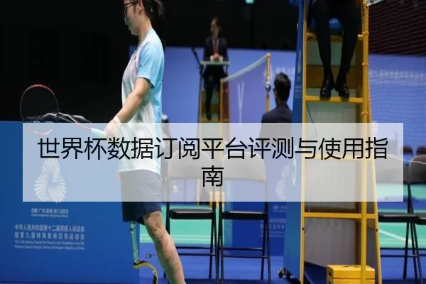 世界杯数据订阅平台评测与使用指南