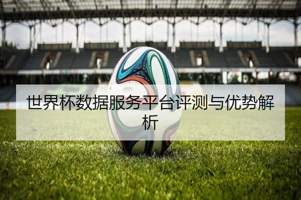 世界杯数据服务平台评测与优势解析