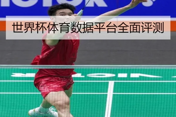 世界杯体育数据平台全面评测
