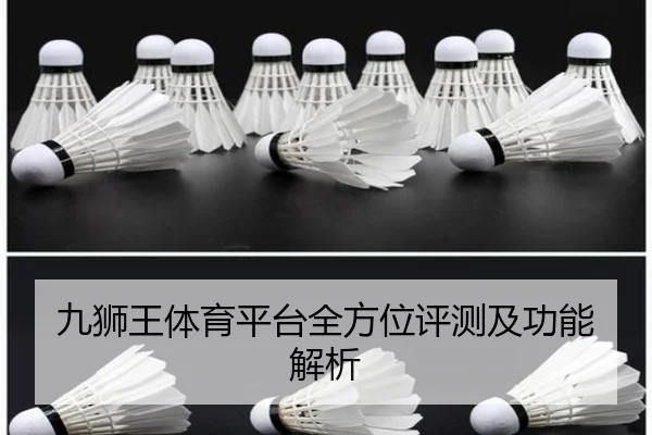 九狮王体育平台全方位评测及功能解析