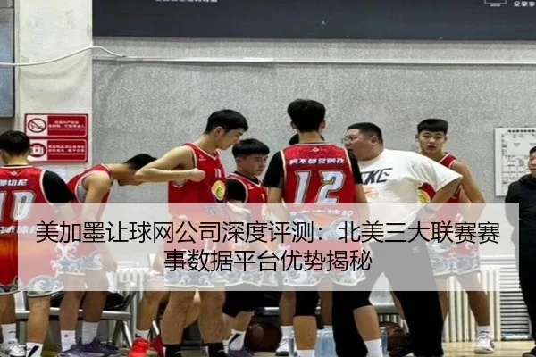 美加墨让球网公司深度评测：北美三大联赛赛事数据平台优势揭秘