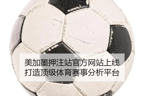 美加墨押注站官方网站上线 打造顶级体育赛事分析平台