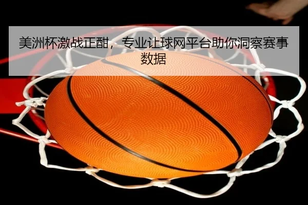美洲杯激战正酣，专业让球网平台助你洞察赛事数据