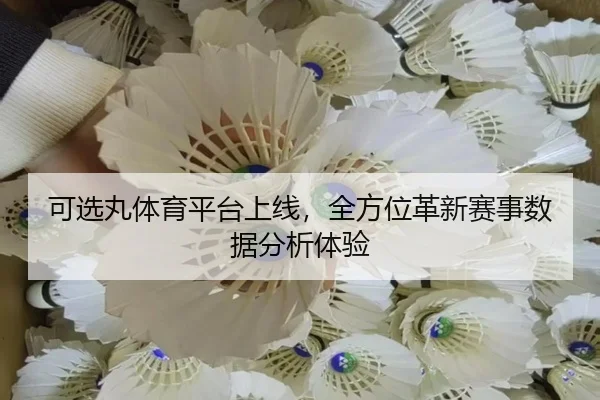 可选丸体育平台上线，全方位革新赛事数据分析体验
