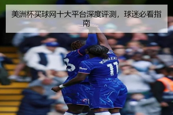 美洲杯买球网十大平台深度评测，球迷必看指南