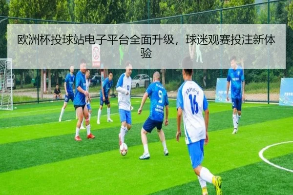 欧洲杯投球站电子平台全面升级，球迷观赛投注新体验