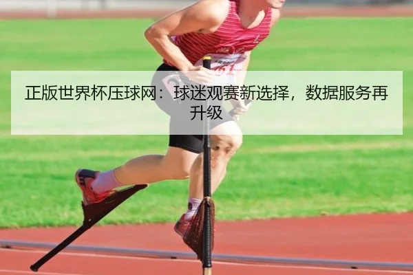 正版世界杯压球网：球迷观赛新选择，数据服务再升级